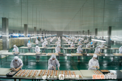 潍坊日报社孙学明，潍坊企业家谈创新⑤|孙洪学：养宠热潮推动企业的探索创新之路