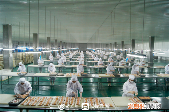 潍坊日报社孙学明，潍坊企业家谈创新⑤|孙洪学：养宠热潮推动企业的探索创新之路