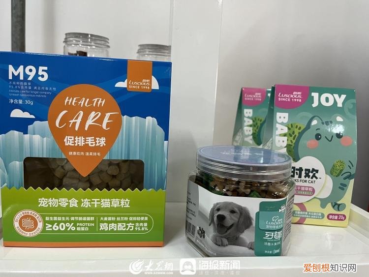 潍坊日报社孙学明，潍坊企业家谈创新⑤|孙洪学：养宠热潮推动企业的探索创新之路