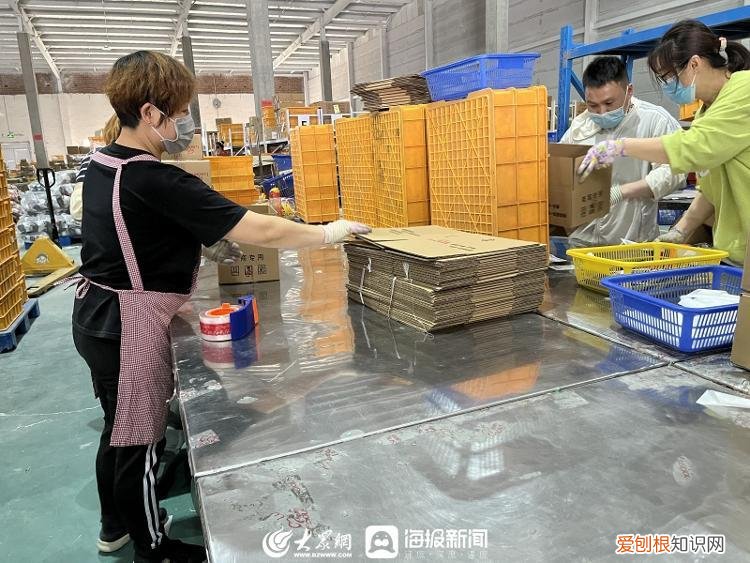 潍坊日报社孙学明，潍坊企业家谈创新⑤|孙洪学：养宠热潮推动企业的探索创新之路