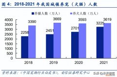 宠物食品产业集群，宠物食品行业研究：赛点已至，自有品牌建设决定走多远