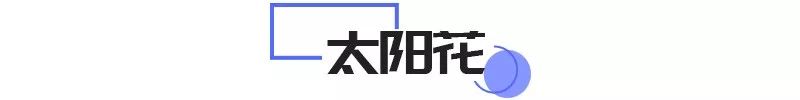 sleepdog是什么游戏，OMG!知名作家喝醉后竟然念叨起…….