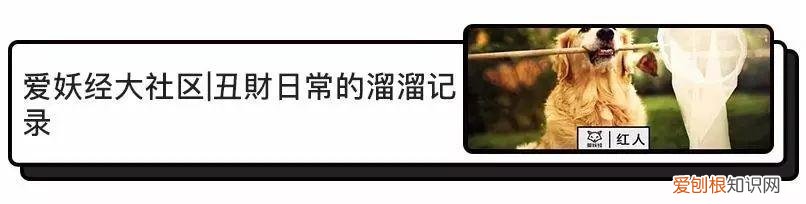 sleepdog是什么游戏，OMG!知名作家喝醉后竟然念叨起…….