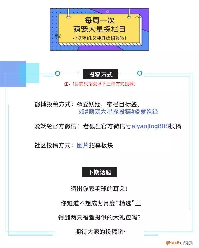 sleepdog是什么游戏，OMG!知名作家喝醉后竟然念叨起…….