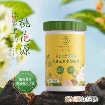 养花草技巧,如何养好花?