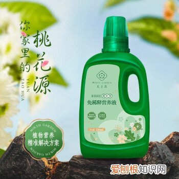 养花草技巧,如何养好花?