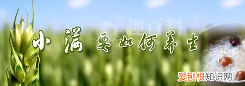 小满养生要吃什么小满节气养生食物有哪些