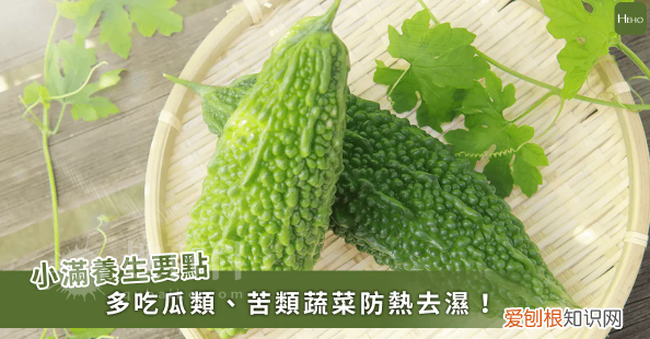 小满养生要吃什么小满节气养生食物有哪些