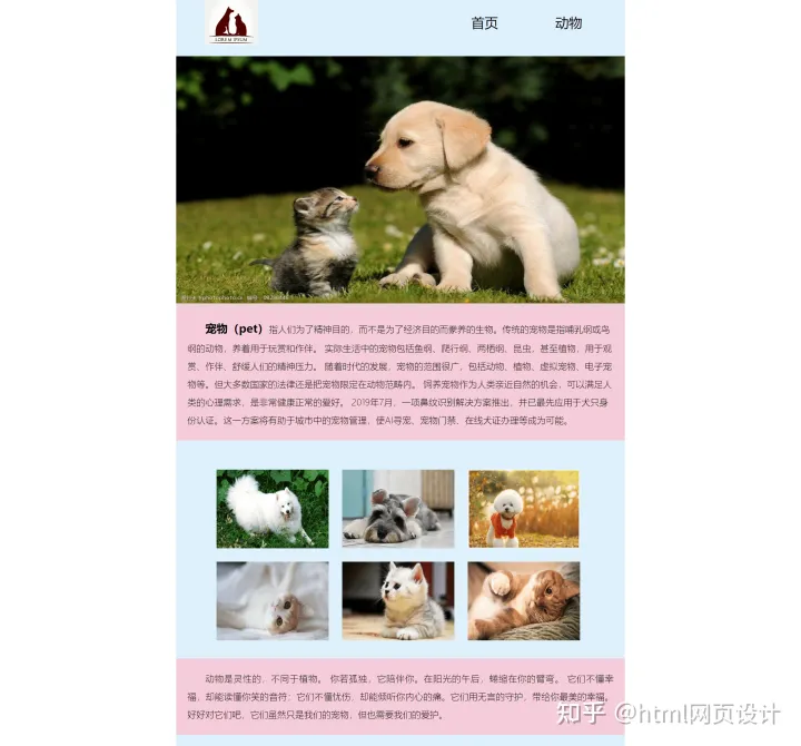 html5期末作业源代码,【web前端期末大作业】制作一个HTML+CSS保护动物宠物网页