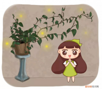 新手种花 养花入门建议，学会这几个养花小技巧，植物疯着长，一个月就能爆盆