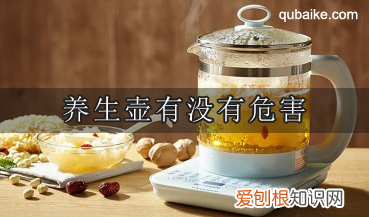 养生壶有没有危害 养生壶的危害是什么