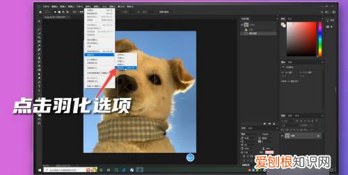PS该如何羽化边缘,ps羽化边缘怎么变清晰