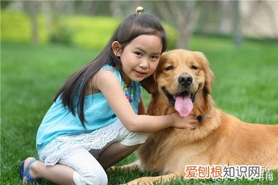 宠物自媒体现状与发展趋势，宠物领域的自媒体怎么做？有4种变现途径！