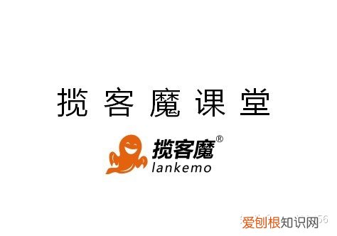 宠物自媒体现状与发展趋势，宠物领域的自媒体怎么做？有4种变现途径！