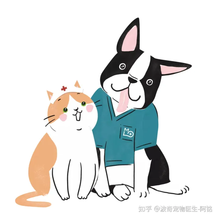 猫狗一定要驱虫吗,宠物知识科普:猫狗为什么要驱虫?养宠家长看过来!