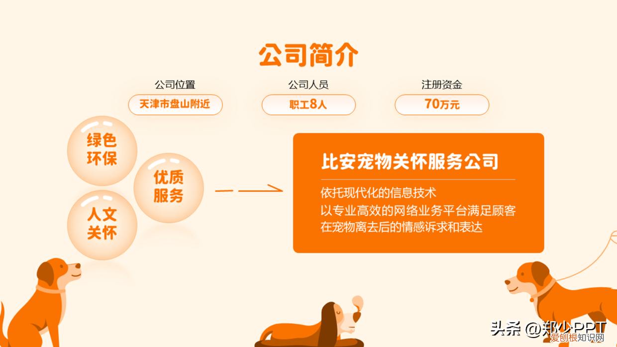 卡通动物ppt背景 可爱,不用图,设计了一份宠物PPT,效果也很不错