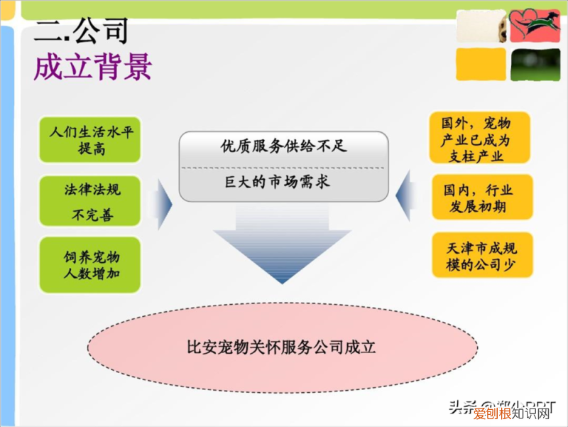 卡通动物ppt背景 可爱,不用图,设计了一份宠物PPT,效果也很不错