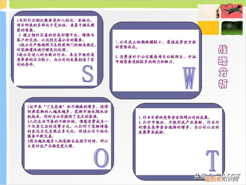 卡通动物ppt背景 可爱,不用图,设计了一份宠物PPT,效果也很不错