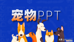 卡通动物ppt背景 可爱，不用图，设计了一份宠物PPT，效果也很不错