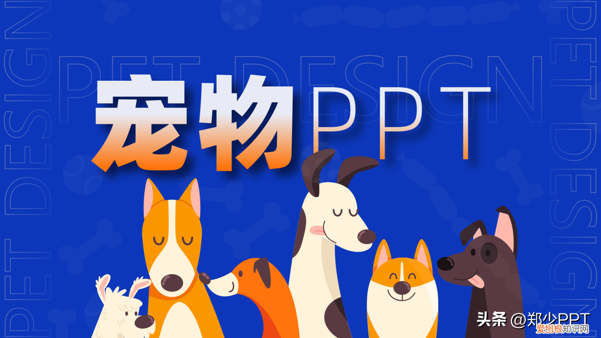 卡通动物ppt背景 可爱,不用图,设计了一份宠物PPT,效果也很不错