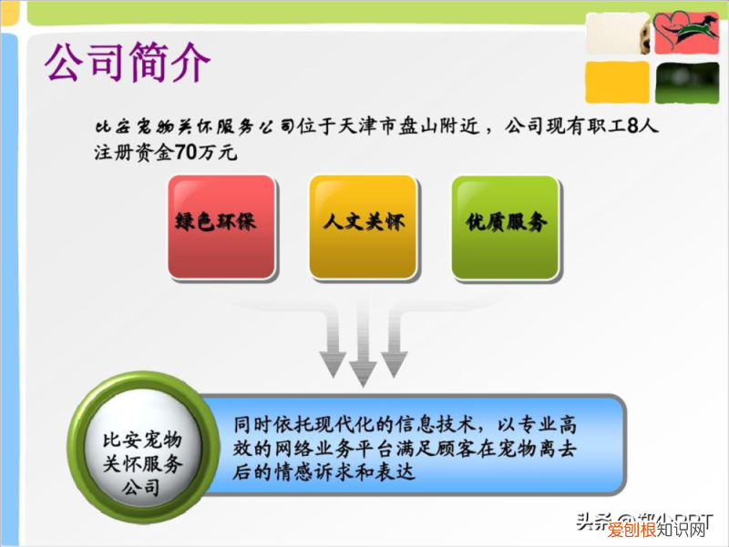 卡通动物ppt背景 可爱,不用图,设计了一份宠物PPT,效果也很不错