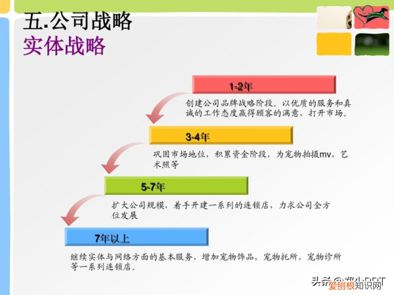 卡通动物ppt背景 可爱,不用图,设计了一份宠物PPT,效果也很不错