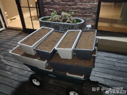 室内花好养活,干货| 室内养花,记住这八点,养活1000盆花!