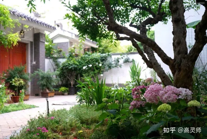 养花需要注意的事项有,家庭养花注意事项
