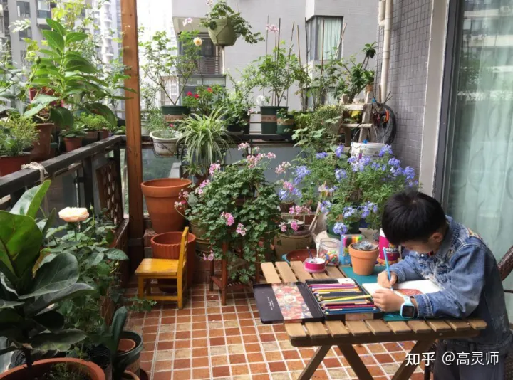养花需要注意的事项有,家庭养花注意事项
