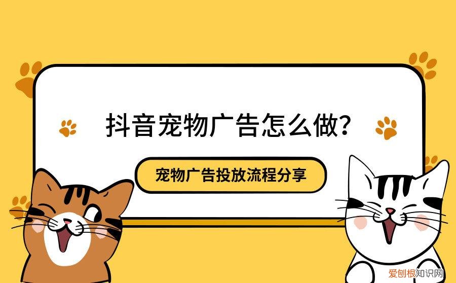 抖音商家广告怎么投放,抖音宠物广告怎么做?宠物广告投放流程分享