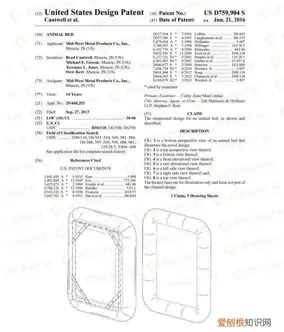 宠物常见问题,赶紧自查!这些宠物用品,一碰就侵权!