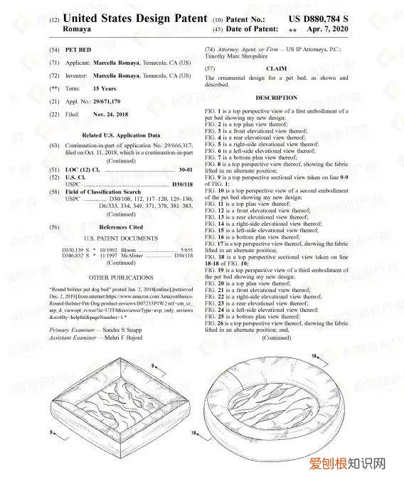 宠物常见问题,赶紧自查!这些宠物用品,一碰就侵权!