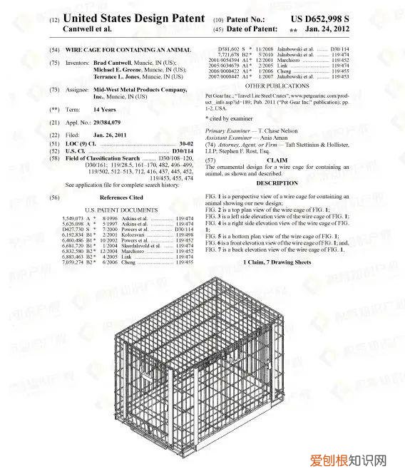 宠物常见问题,赶紧自查!这些宠物用品,一碰就侵权!