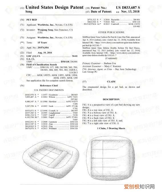 宠物常见问题,赶紧自查!这些宠物用品,一碰就侵权!