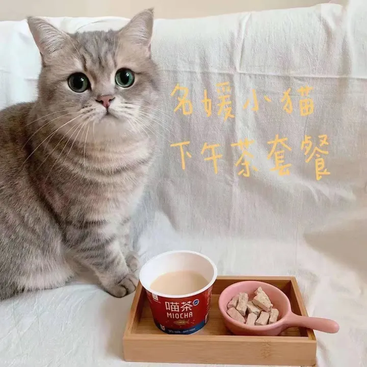95后女生卖宠物奶茶赚钱吗,95后女生卖宠物奶茶年入百万,要加快申请知识产权保护