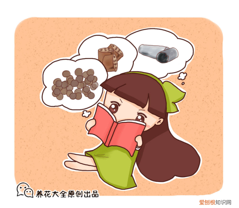 养花有技巧吗,养花一点也不费钱,学会3个省钱养花技巧,简直占了大便宜