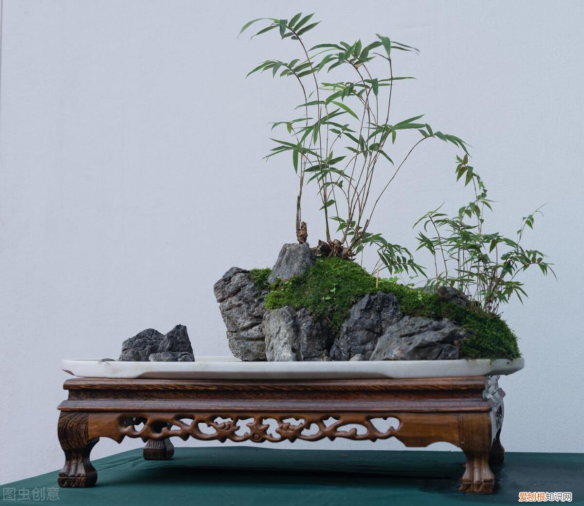 养花养不好,越养花越贫穷?其实养花也能赚钱,完全可以满足养花的开销