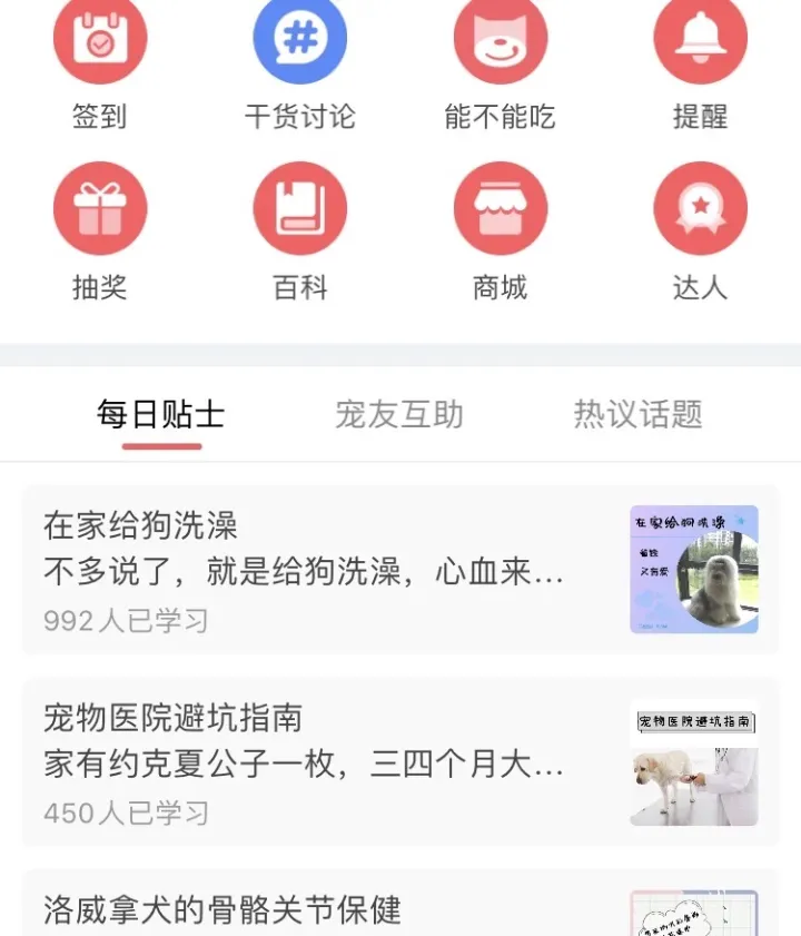 有什么宠物好养又能互动的,有关宠物的app有那些?