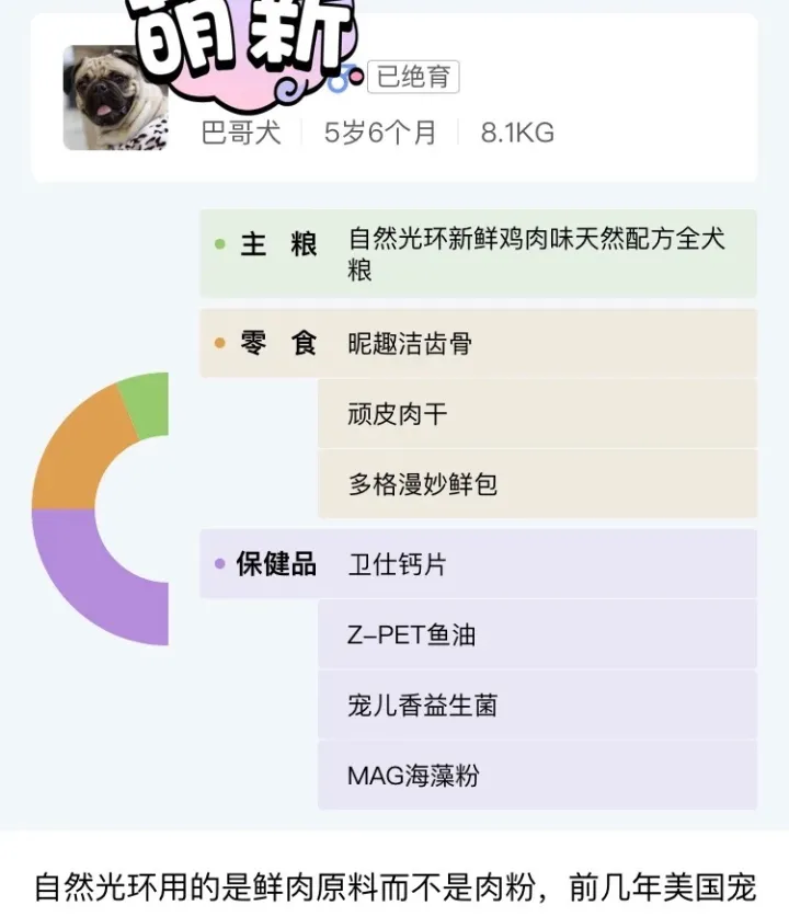 有什么宠物好养又能互动的,有关宠物的app有那些?