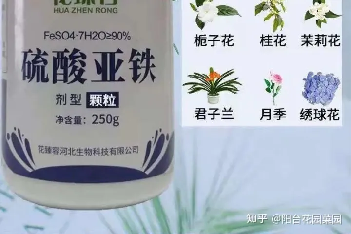 养花用什么花肥好一点,养花肥“又杂又贵”?认清3元素,花几块钱,养一百种花