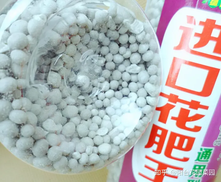 养花用什么花肥好一点,养花肥“又杂又贵”?认清3元素,花几块钱,养一百种花