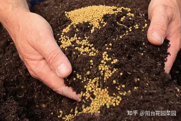 养花用什么花肥好一点,养花肥“又杂又贵”?认清3元素,花几块钱,养一百种花