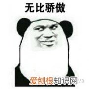 猫&狗 有没有养狗的软件，干货|新手养宠实用APP大全，亲测好用！