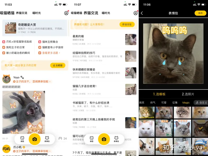 猫&狗 有没有养狗的软件,干货|新手养宠实用APP大全,亲测好用!