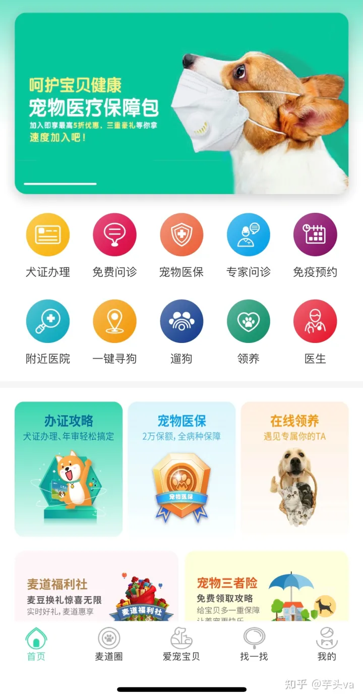 猫&狗 有没有养狗的软件,干货|新手养宠实用APP大全,亲测好用!