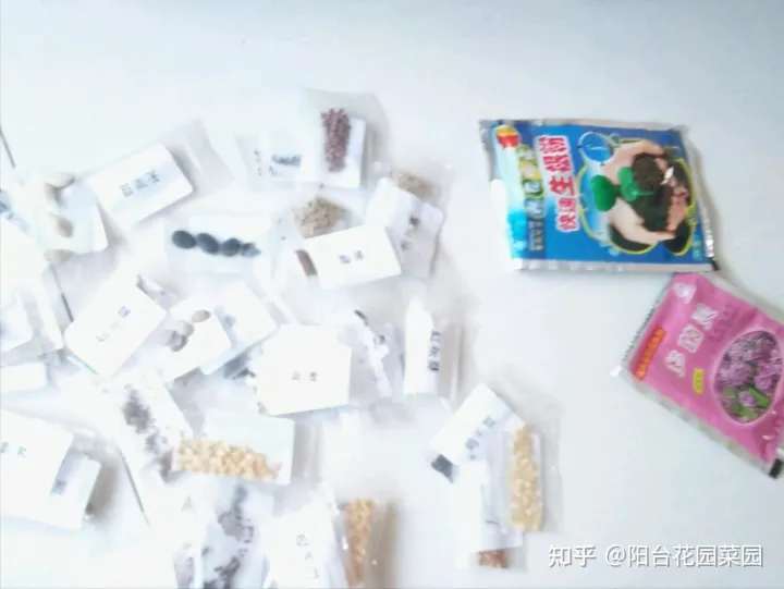 养花必备用品,养花4种“必须品”,不要图便宜,买错了不管用,浪费多少买花钱