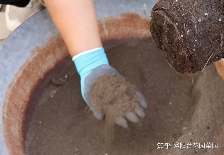 养花必备用品,养花4种“必须品”,不要图便宜,买错了不管用,浪费多少买花钱
