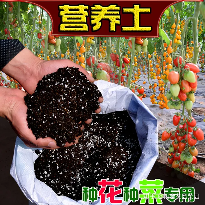 养花必备用品,养花4种“必须品”,不要图便宜,买错了不管用,浪费多少买花钱