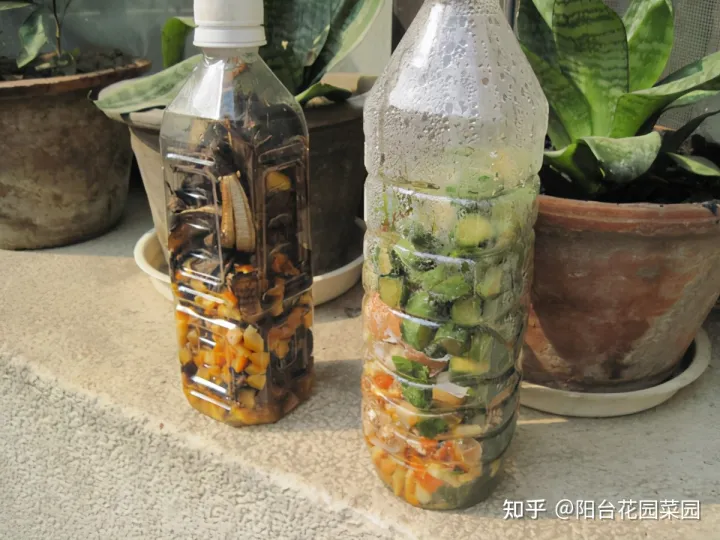 养花必备用品,养花4种“必须品”,不要图便宜,买错了不管用,浪费多少买花钱