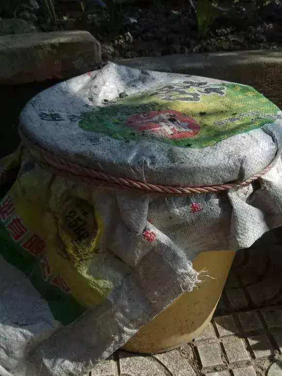 菜油直接放入花盆里,老花农不小心透露,花盆里倒3滴油,1个月爆盆,全年不用施肥